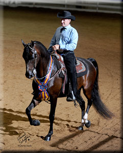 Sarde's Rock of Love